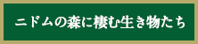 ニドムの森に棲む生き物たち