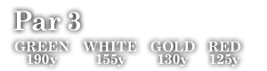 Par 3　GREEN 190y WHITE 155y GOLD 130y RED 125 y