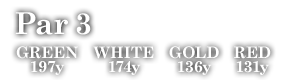 Par 3　GREEN 197y WHITE 174y GOLD 136y RED 131y
