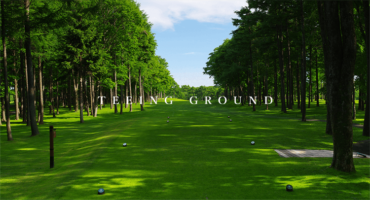 ティーイング・グラウンド TEEING GROUND