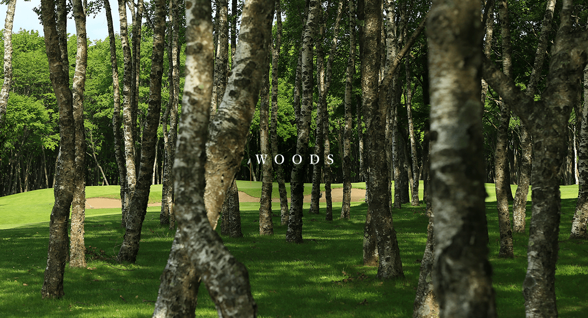 樹 WOODS