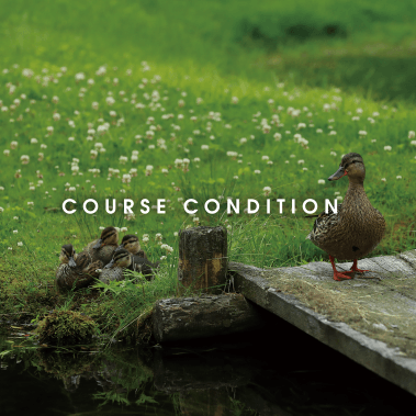 COURSE CONDITION